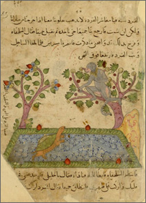 scimmia e tartaruga, ms. arabo, sec. XIV (Parigi, Bibliothèque nationale de France)