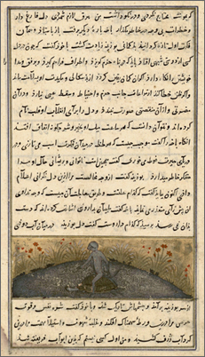 scimmia e tartaruga, ms. persiano, sec. XIV (Parigi, BnF)