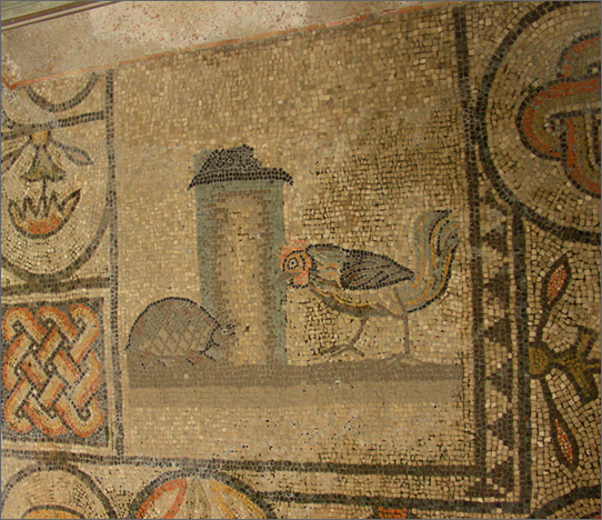 gallo e tartaruga, mosaico pavimentale, III-IV sec. (Aquileia, navata principale)