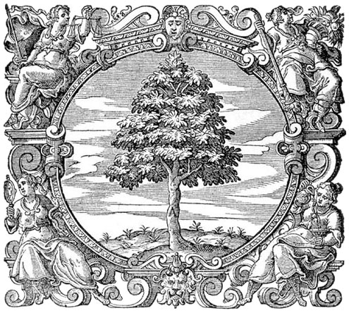marca tip. di A. Pinelli (1610)
