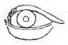 Hypnerotomachia: l'occhio divino