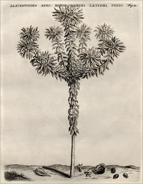 Fig. 13